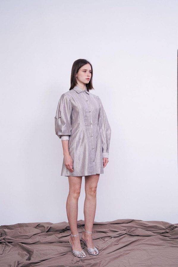 Silver Cinched Shirt Dress