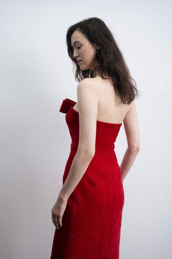 Bow Front Bodycon Velvet Dress